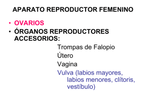 Ap. reproductor femenino Archivo