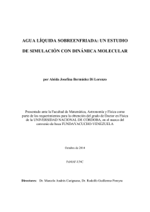 AGUA LÍQUIDA SOBREENFRIADA: UN ESTUDIO DE SIMULACIÓN