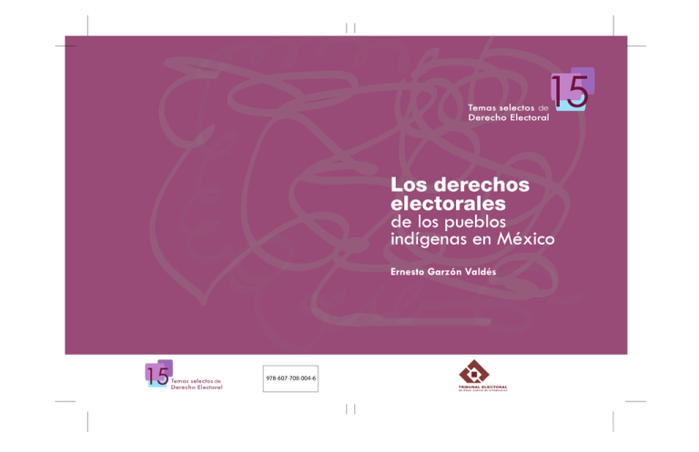 Los derechos electorales de los pueblos indígenas en México 2010