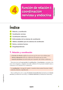 coordinación nerviosa y endocrina