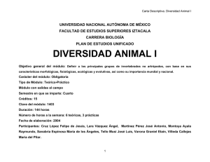 Diversidad Animal 1