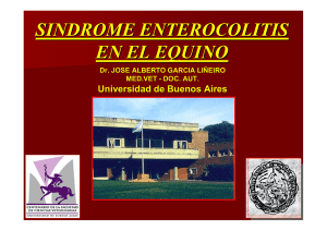 Diarrea en el Equino - Universidad de Buenos Aires