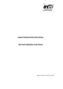 SECTOR ENERGIA ELECTRICA