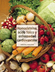 Homocisteina, ácido fólico y enfermedad cardiovascular