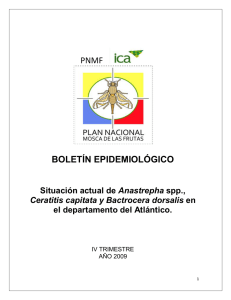 Boletín Arauca cuarto trimestre 2009