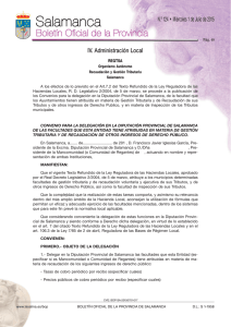 III - Diputación de Salamanca