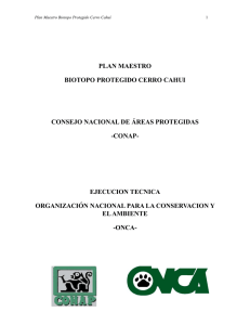 Plan MaestroSerro Cahui 2001_2006