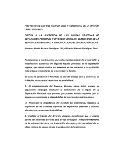 Rodríguez Lill - Comisión Bicameral para la Reforma, Actualización