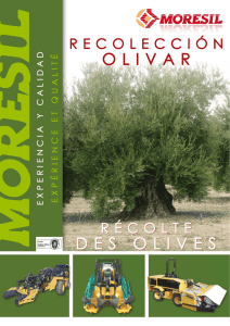 catálogo - Spanish Olive Technology