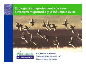Ecologia y comportamiento de aves silvestres migratorias y la
