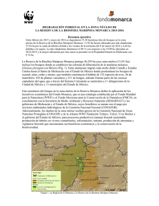 Más información Monitoreo Forestal Monarca 2015-2016