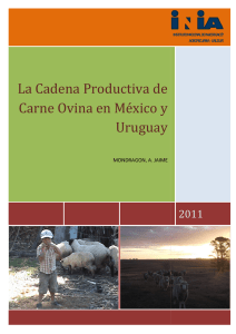 La Cadena Productiva de Carne Ovina en México y Uruguay