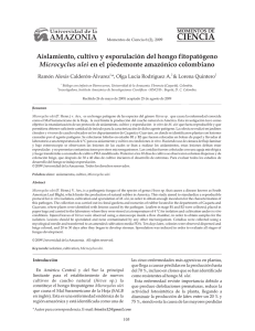 Aislamiento, cultivo y esporulación del hongo fitopatógeno