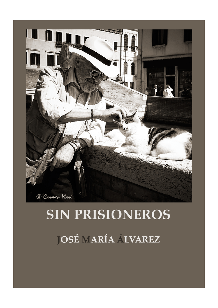 encontre las respuestas a mi soledad violetta