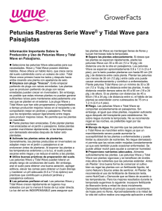 Petunias Rastreras Serie Wave® y Tidal Wave para Paisajistas