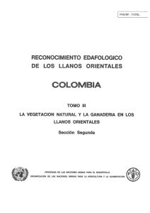 Reconocimiento Edafológico de los Llanos orientales. Colombia.