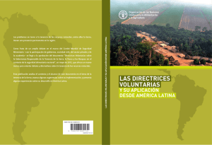 Las Directrices desde América Latina voluntarias y su aplicación