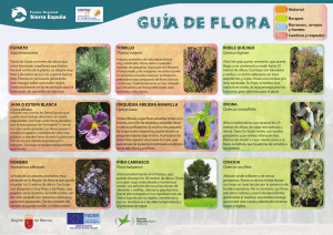 Guia de Flora