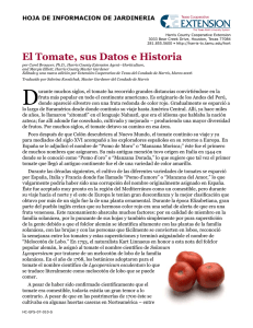 El Tomate, sus Datos e Historia - Texas AgriLife Extension Service