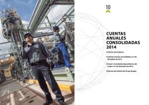Cuentas anuales Consolidadas 2014