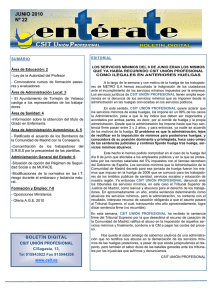 junio 2010 nº 22 - CSIT Unión Profesional