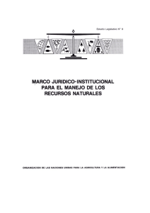 Marco jurídico-institucional para el manejo de los recursos naturales
