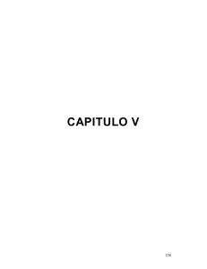 CAPITULO V