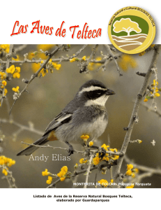 Las Aves de Telteca-Listado-