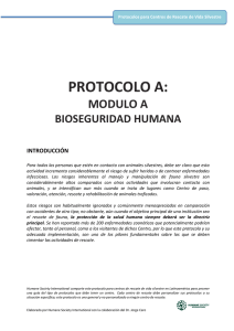 protocolo a - Humane Society International