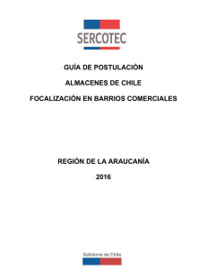 Guía de postulación región de La Araucanía