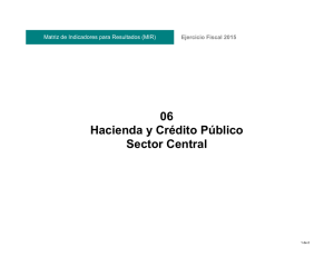 06 Hacienda y Crédito Público Sector Central