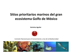 Gap marino y sitios prioritarios de la región del Golfo de México