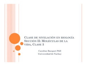 (Microsoft PowerPoint - Nivelacion biologia Moleculas 3.pptx