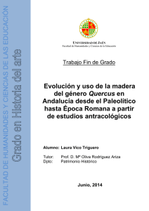 Evolución y uso de la madera del Quercus en Andalucía