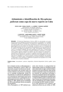 Aislamiento e identificación de Mycoplasma pullorum como cepa de
