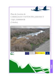 Plan de Gestión Carrizales y sotos del Jarama y Tajo. Doc 1