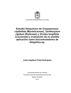 Estudio fitoquímico de Compsoneura capitellata (Myristicaceae