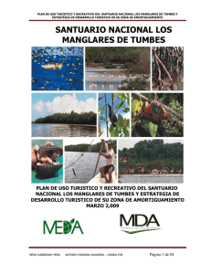 santuario nacional los manglares de tumbes