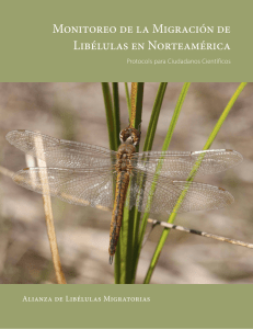 Protocolos para monitoreo - Migratory Dragonfly Partnership
