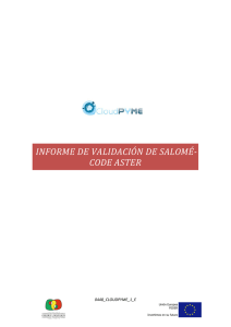 INFORME DE VALIDACIÓN DE SALOMÉ