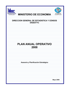 Plan Anual Operativo 2008