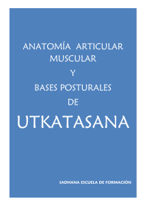 anatomía articular muscular y bases posturales de