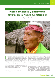 Medio ambiente y patrimonio natural en la Nueva Constitución