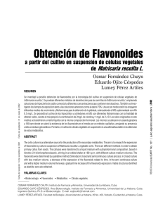 Obtención de Flavonoides a partir del cultivo en suspensión de