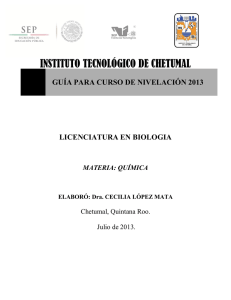 curso de nivelacion - Instituto Tecnológico de Chetumal