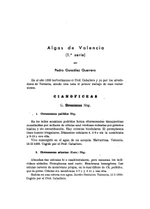 Algas de Valencia (1a. serie)