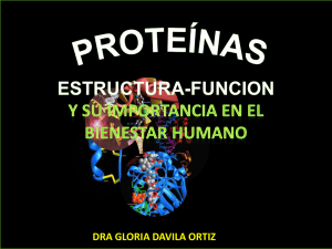 Proteínas, su estructura y su función, la importancia