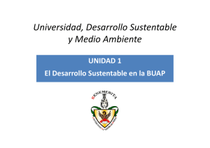 Universidad, Desarrollo Sustentable y Medio Ambiente y Medio