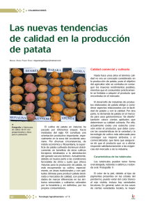 Las nuevas tendencias de calidad en la producción de patata