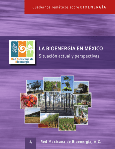 la bioenergía en méxico - Red Mexicana de Bioenergía
